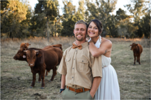 Looking for Bible Courses