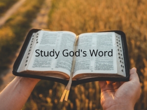 Study of the Word of God