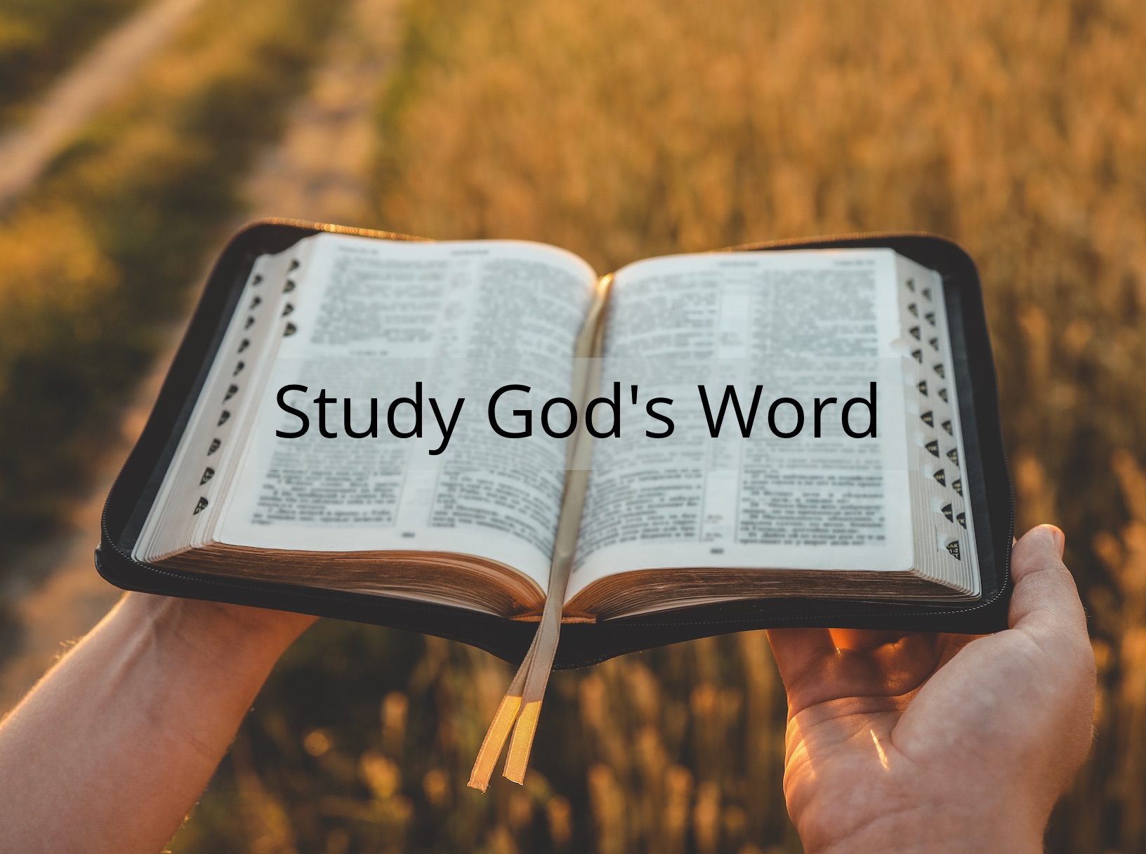 Study of the Word of God - Christian Leaders Institute